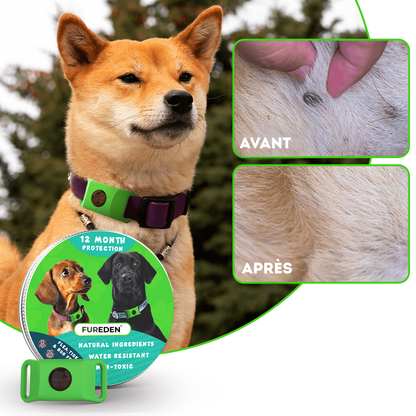 FurEden™ - 12 Mois de Protection pour Chien