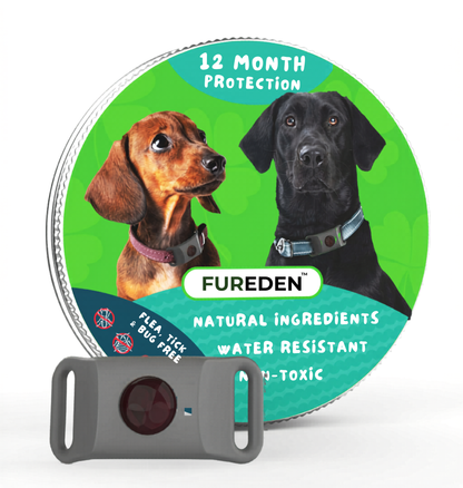 FurEden™ - 12 Mois de Protection pour Chien